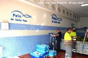 11 SANTA POLA PORT DE PECHE (35)
